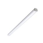 Philips Stagna LED WT060C 30W 3600lm - 865 Luce Del Giorno | 120cm