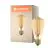 Ledvance Vintage 1906 LED E27 Edison Oro 5.8W 470lm - 822 Bianco Molto Caldo | Dimmerabile - Sostitutiva 40W