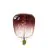 Calex Kiruna Marron LED E27 Filamento 5W 130lm - 818 Bianco Molto Caldo | Dimmerabile
