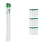 Confezione Multipack 25x Philips MASTER TL-D Actinic BL 18W - Ultravioletto | 60cm