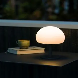 Portable lamps