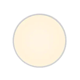 smart lighting ceiling fixture